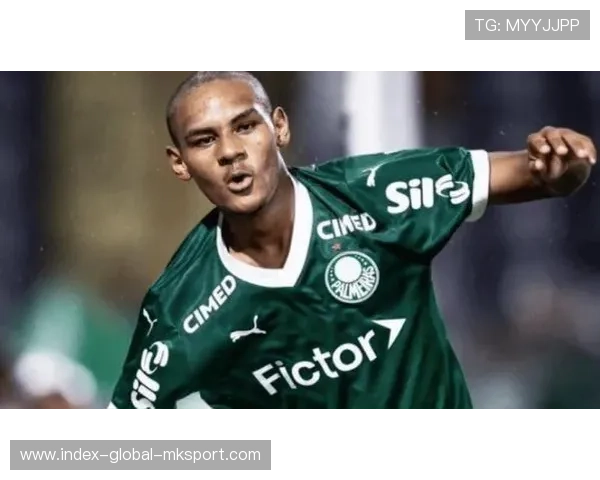 巴西新前锋爆发，引发媒体强烈关注