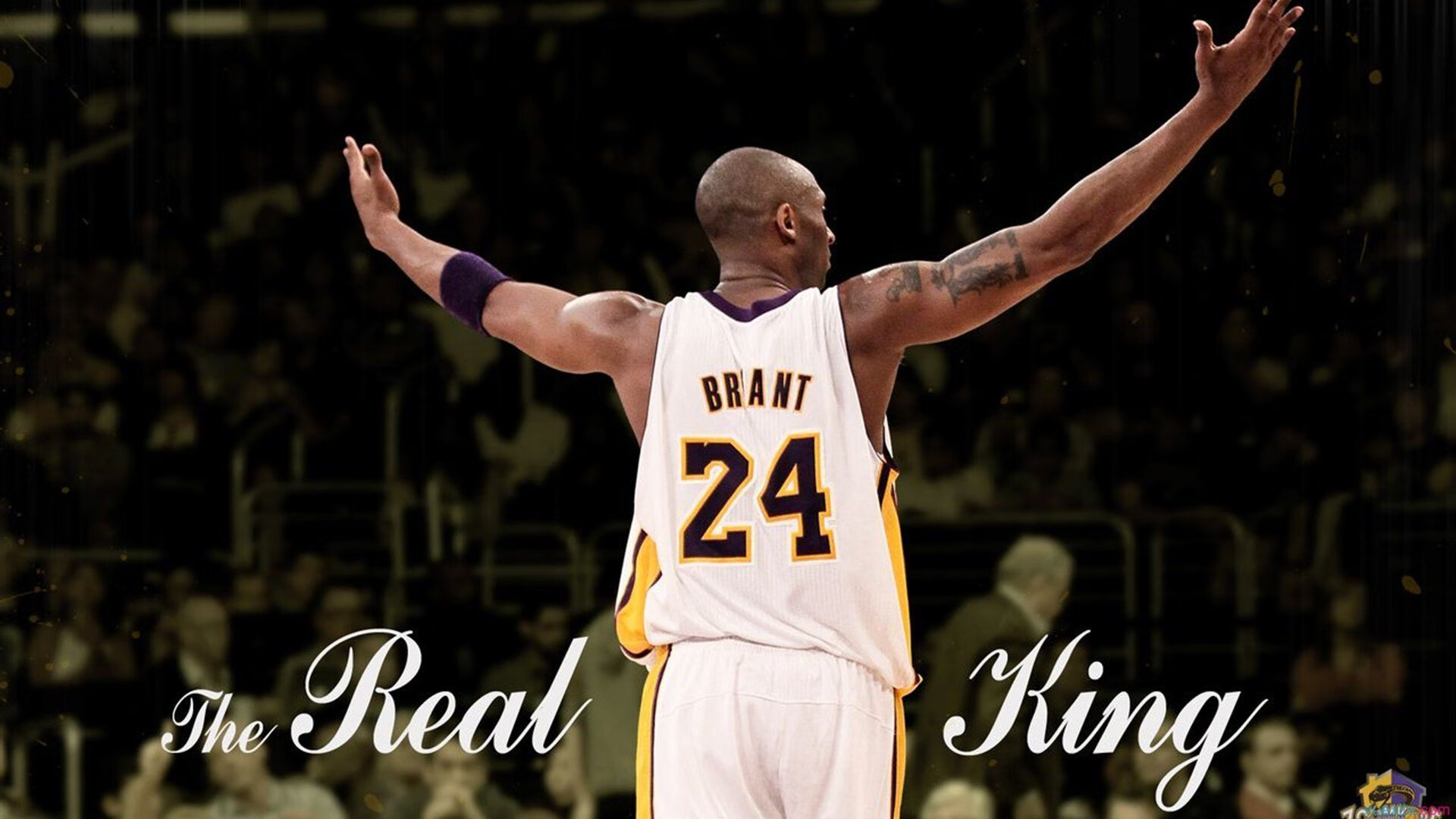 数据平台分析球员表现促进科学决策,球员数据分析软件